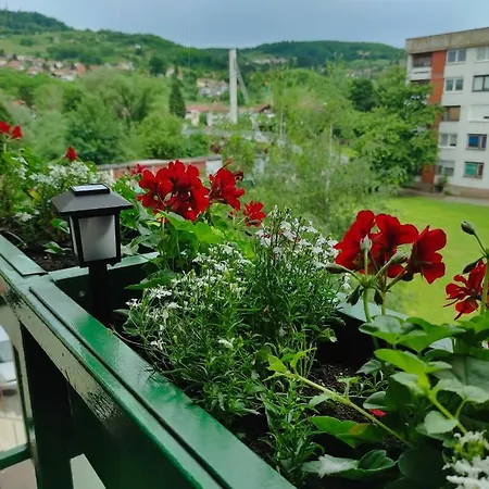Perfect Place *